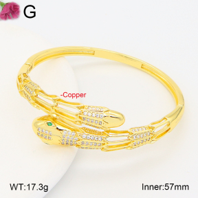 F2BA40958vhha-J201  Fashion Copper Bangle