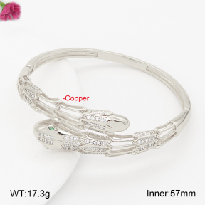 F2BA40959vhha-J201  Fashion Copper Bangle