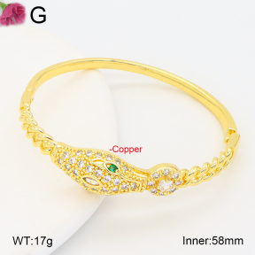 F2BA40966vhha-J201  Fashion Copper Bangle