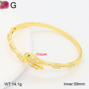 F2BA40968vhha-J201  Fashion Copper Bangle