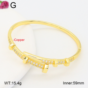 F2BA40972vhha-J201  Fashion Copper Bangle