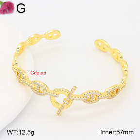 F2BA41011vhkb-J201  Fashion Copper Bangle