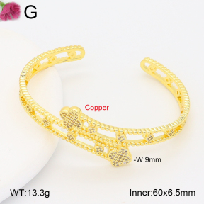 F2BA41013vhkb-J201  Fashion Copper Bangle
