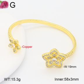 F2BA41017ahlv-J201  Fashion Copper Bangle