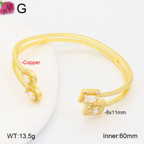 F2BA41023vhnv-J201  Fashion Copper Bangle