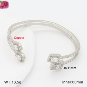 F2BA41024vhnv-J201  Fashion Copper Bangle