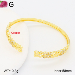 F2BA41031bhia-J201  Fashion Copper Bangle