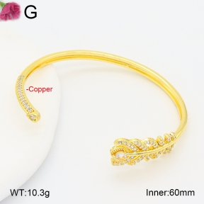 F2BA41033ahlv-J201  Fashion Copper Bangle