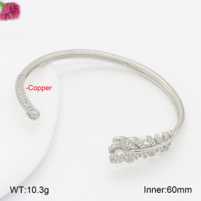 F2BA41034ahlv-J201  Fashion Copper Bangle