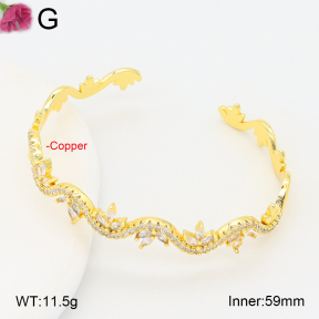 F2BA41053vhkb-J201  Fashion Copper Bangle