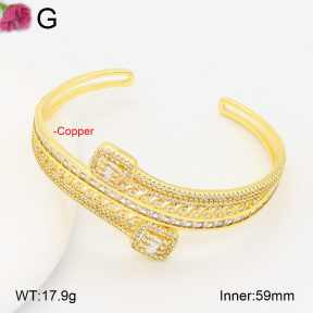 F2BA41057ahpv-J201  Fashion Copper Bangle