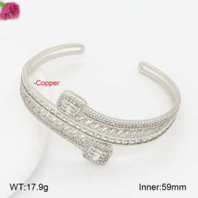 F2BA41058ahpv-J201  Fashion Copper Bangle