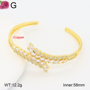 F2BA41059vhnv-J201  Fashion Copper Bangle