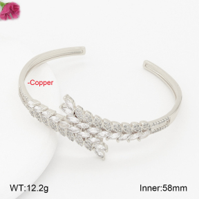 F2BA41060vhnv-J201  Fashion Copper Bangle