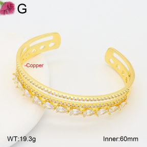 F2BA41061vhov-J201  Fashion Copper Bangle