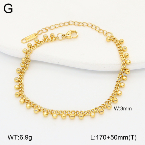2B2005638vbnb-641  Stainless Steel Bracelet