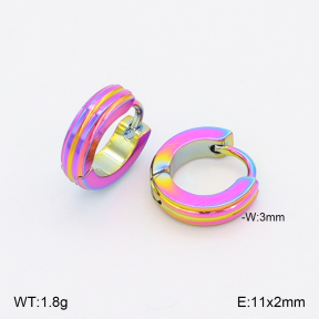2E2006880vajj-656  Stainless Steel Earrings