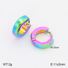 2E2006882vajj-656  Stainless Steel Earrings