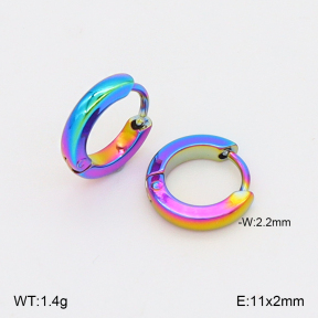 2E2006883vajj-656  Stainless Steel Earrings