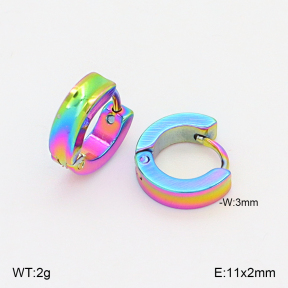2E2006884vajj-656  Stainless Steel Earrings