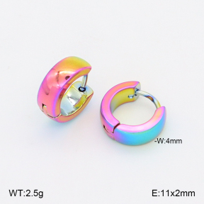 2E2006885vajj-656  Stainless Steel Earrings