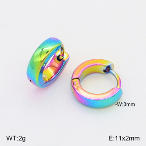 2E2006886vajj-656  Stainless Steel Earrings