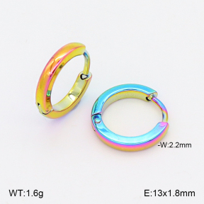 2E2006888vajj-656  Stainless Steel Earrings