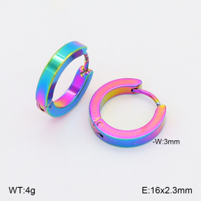 2E2006889vajj-656  Stainless Steel Earrings