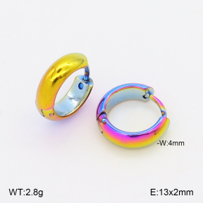 2E2006891vajj-656  Stainless Steel Earrings