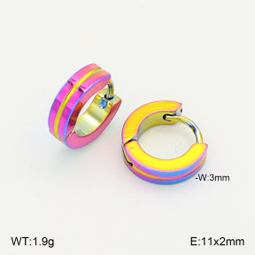 2E2006892vajj-656  Stainless Steel Earrings
