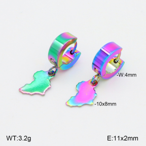 2E2006895aajl-656  Stainless Steel Earrings