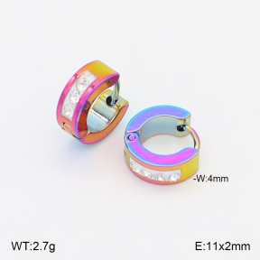 2E4005072aajo-656  Stainless Steel Earrings