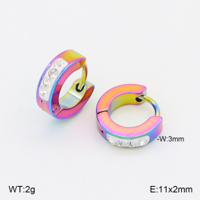 2E4005073aajo-656  Stainless Steel Earrings