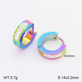 2E4005074aajo-656  Stainless Steel Earrings