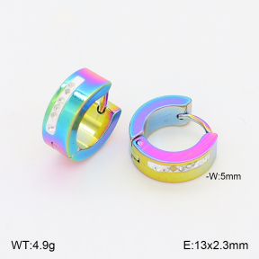 2E4005075aajo-656  Stainless Steel Earrings