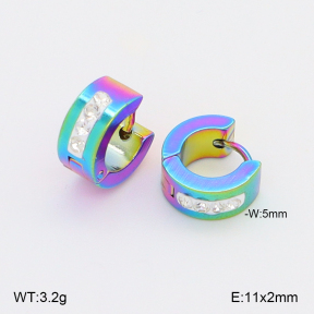 2E4005076aajo-656  Stainless Steel Earrings