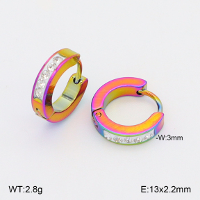 2E4005077aajo-656  Stainless Steel Earrings