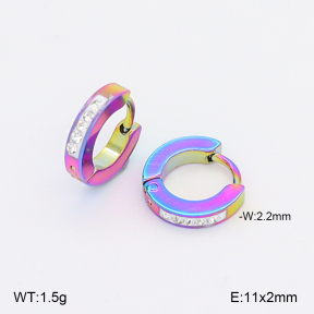 2E4005078aajo-656  Stainless Steel Earrings