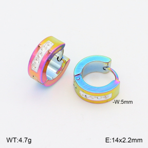 2E4005079aajo-656  Stainless Steel Earrings