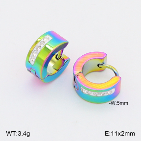 2E4005080aajo-656  Stainless Steel Earrings