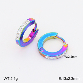 2E4005081aajo-656  Stainless Steel Earrings