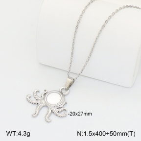 2N2008747aakl-742  Stainless Steel Necklace