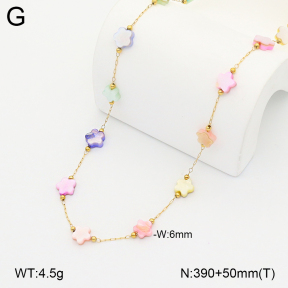 2N3003379bvpl-641  Stainless Steel Necklace