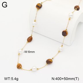 2N3003381bvpl-641  Stainless Steel Necklace