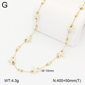 2N3003389vbpb-641  Stainless Steel Necklace