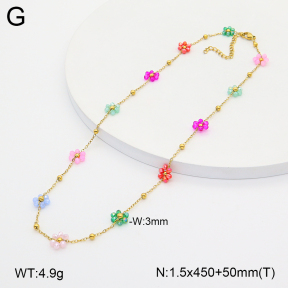 2N4005448bvpl-641  Stainless Steel Necklace