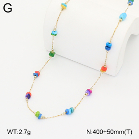 2N4005450bvpl-641  Stainless Steel Necklace