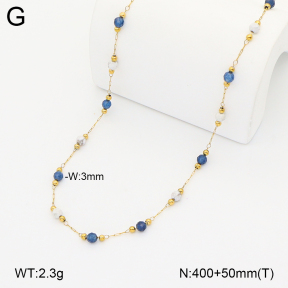2N4005451bvpl-641  Stainless Steel Necklace