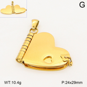 2P2006200vhol-355  Stainless Steel Pendant