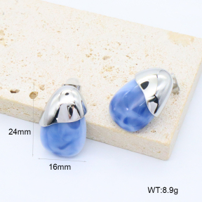 GEE002986vhha-066  316 Pin Resin,Handmade Polished  Stainless Steel Earrings  BC26040231E-S-BL